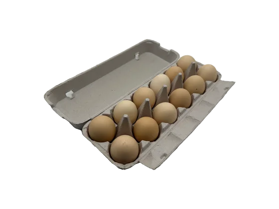 Newspaper Pulp Egg Box (2*6)