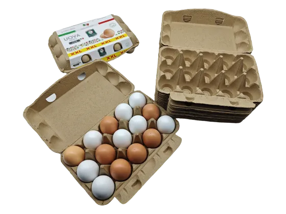Carton Of Eggs