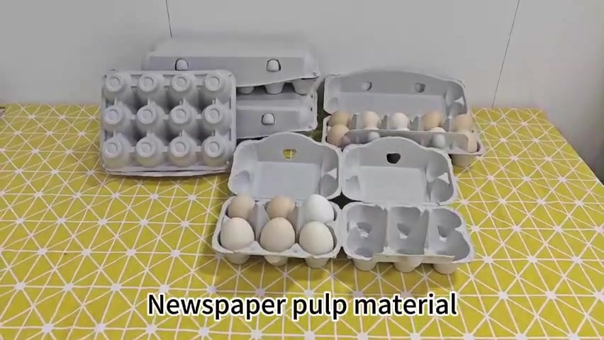 Newspaper Pulp Egg Box (3*6)