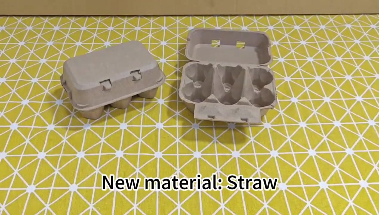 6 Egg Carton