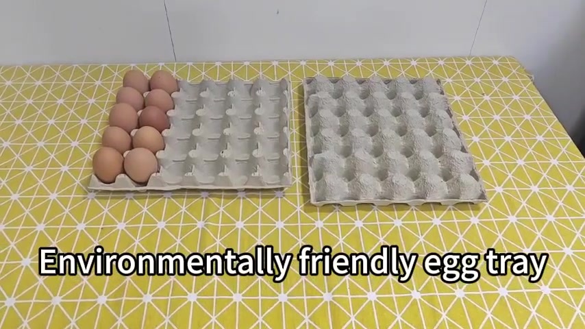 Paper Pulp Egg Tray