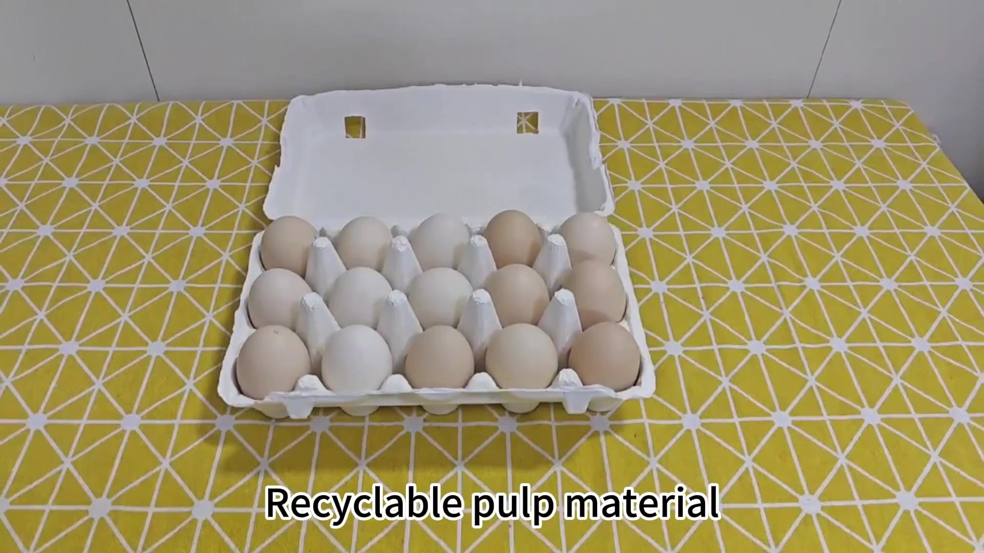 White Egg Box (3*5)