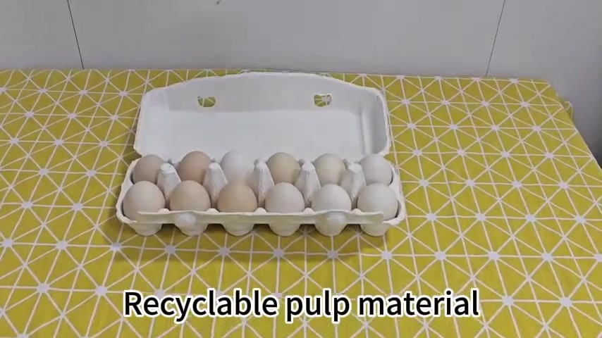 White Egg Box (2*6)