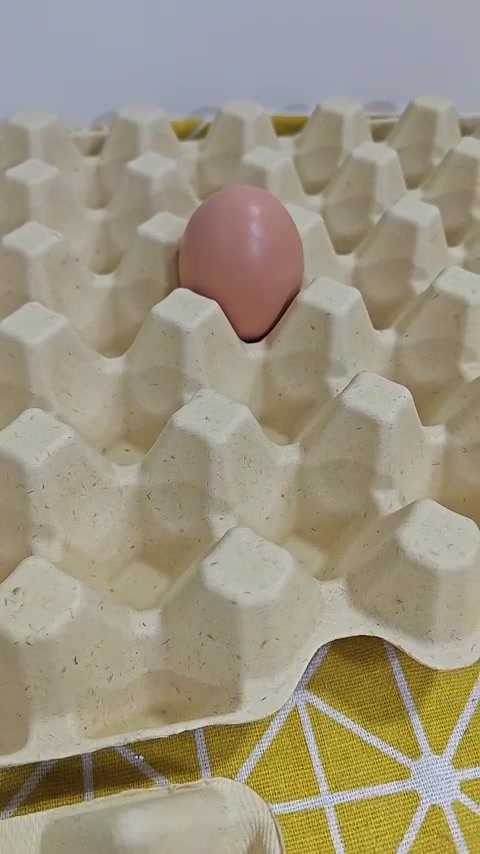 Tray Of 30 Eggs Price