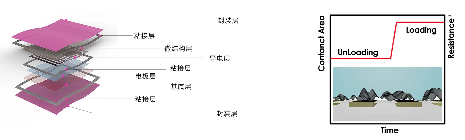 结构机理 结构机理