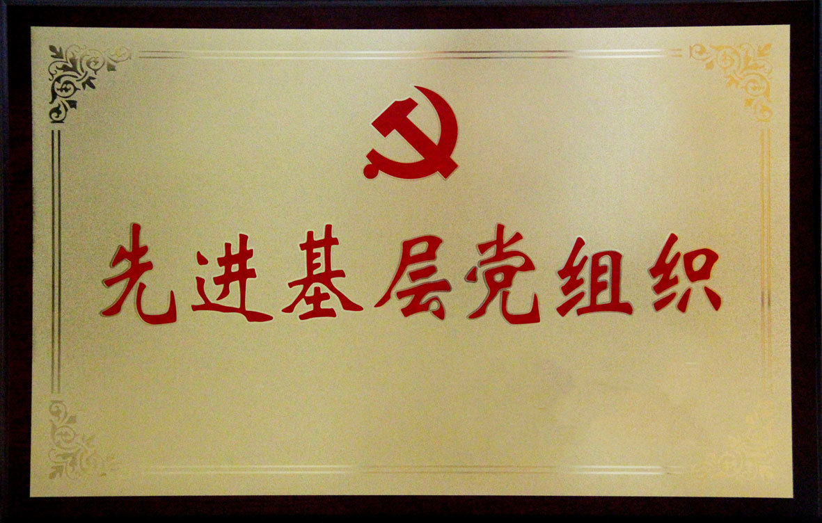 先进基层党组织