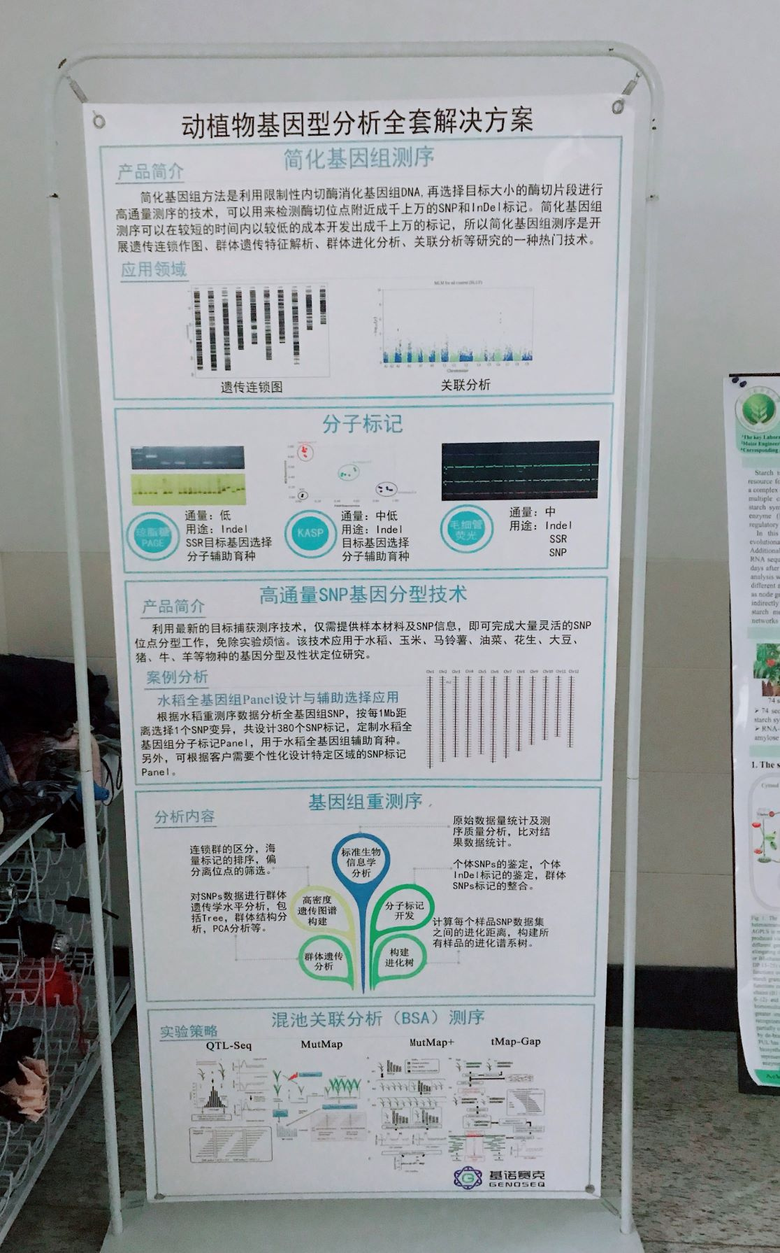 新聞