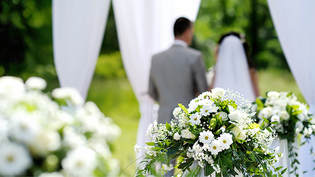 中央草坪婚礼 中央草坪婚礼