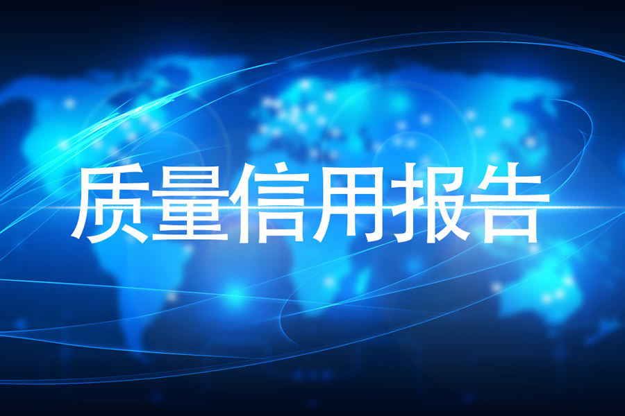 铁锚公司质量信用报告（2021年）