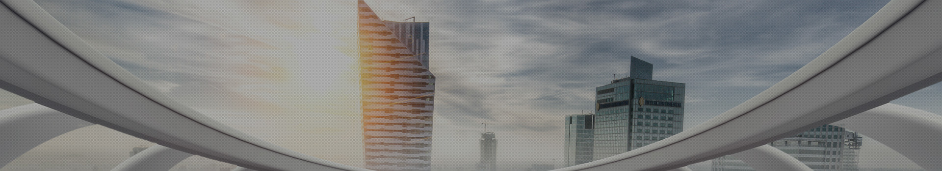 About the Company