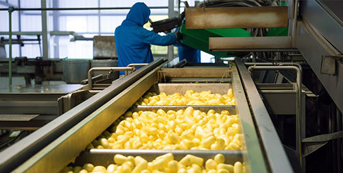 Food Processing Food Processing