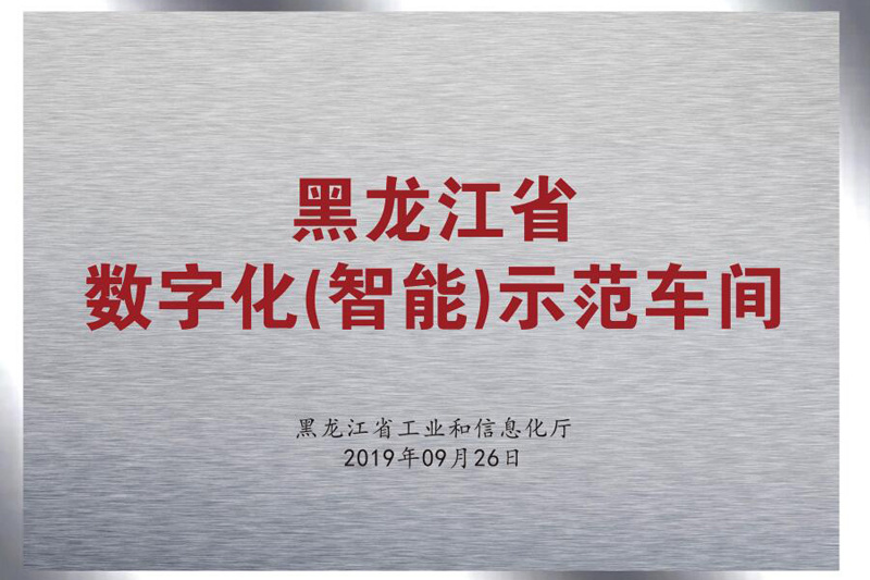 Heilongjiang Province Digital (Intelligent) Demonstration Workshop Heilongjiang Province Digital (Intelligent) Demonstration Workshop