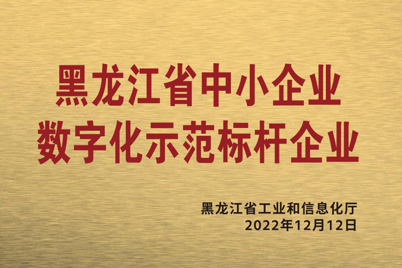 Digitalization Demonstration Benchmark Enterprises for Small and Medium-sized Enterprises in Heilongjiang Province Digitalization Demonstration Benchmark Enterprises for Small and Medium-sized Enterprises in Heilongjiang Province