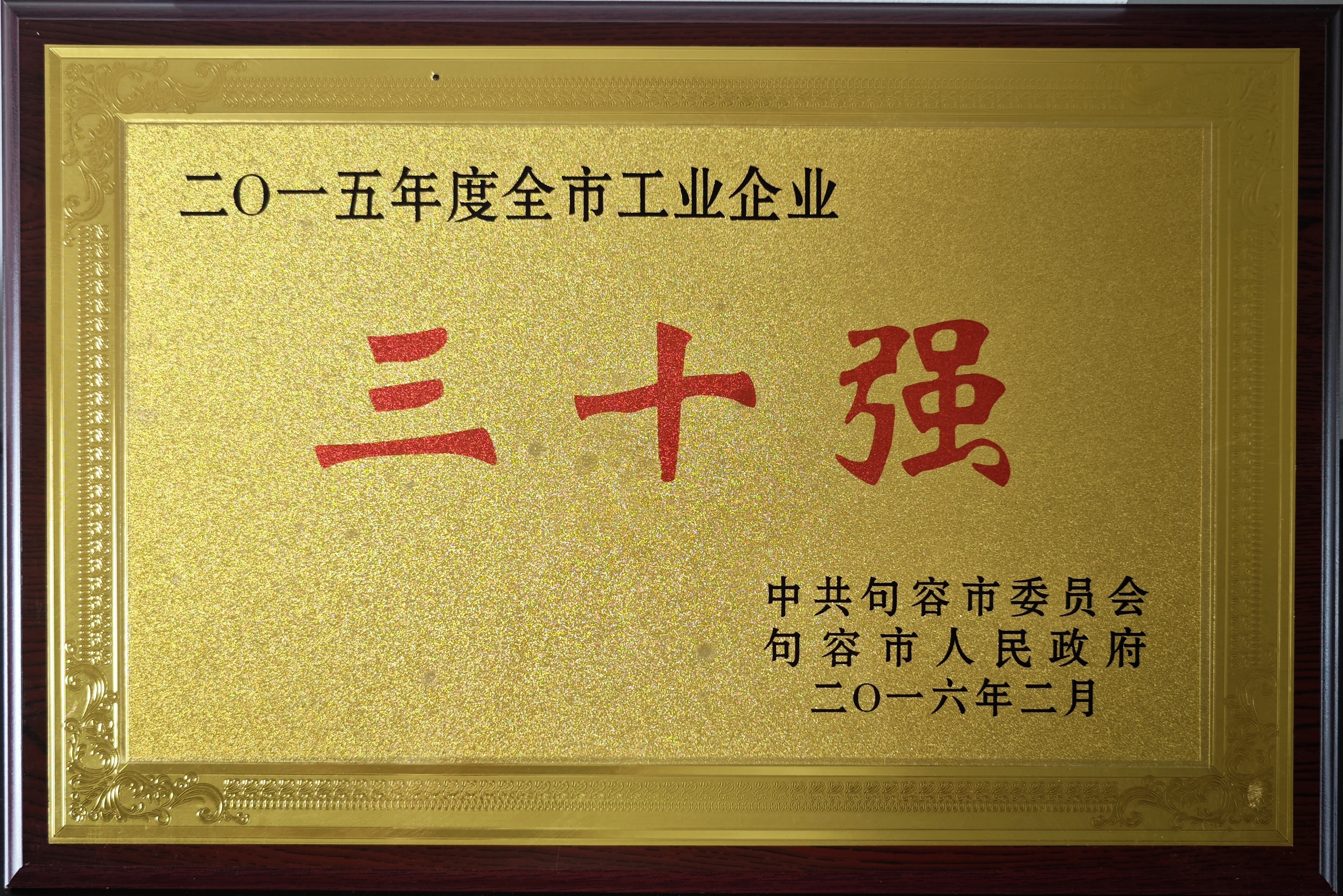 全市工業(yè)企業(yè)三十強2015