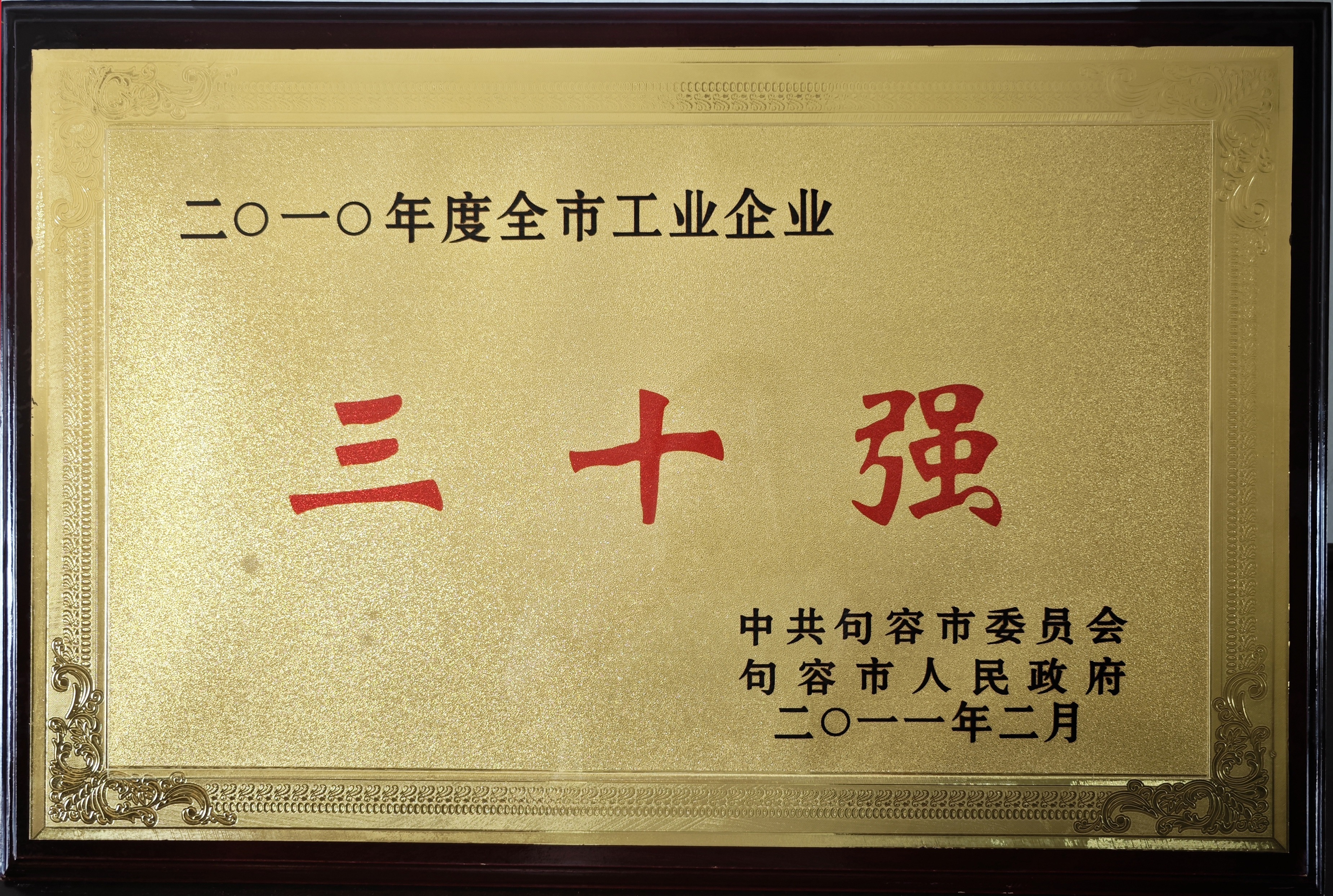 全市工業(yè)企業(yè)三十強2010