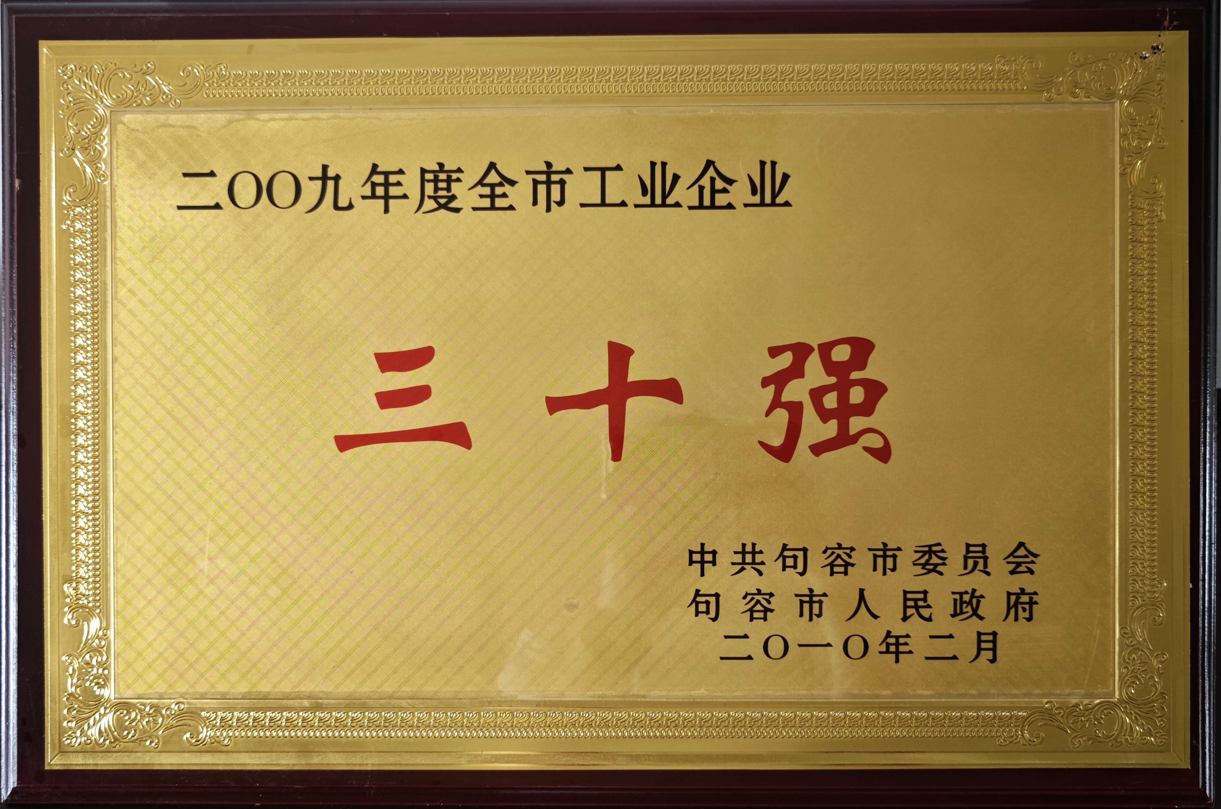 全市工業(yè)企業(yè)三十強2009