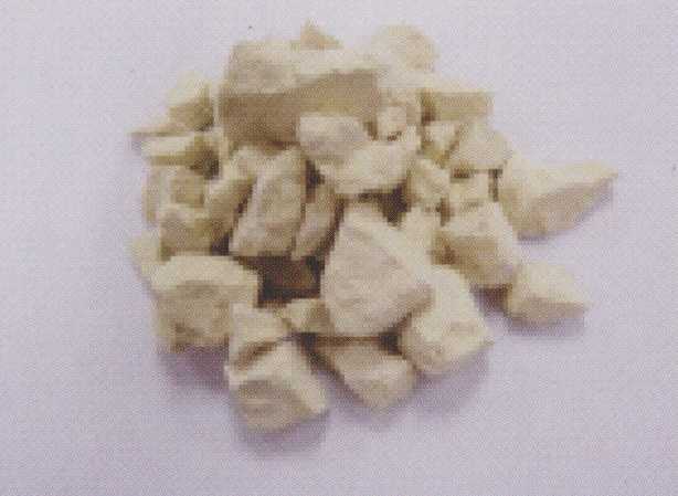 SODP總氮脫氮系統-脫氮硫桿菌生物載體