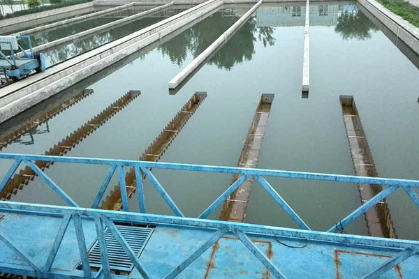 氨氮去除劑