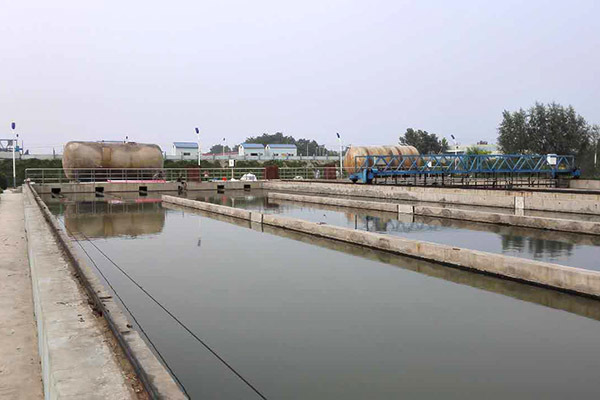 氨氮去除劑20型