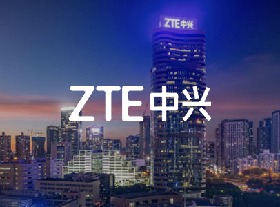 Liu Fang, Head of the Capability Center of the Wired Products Business Unit at ZTE Corporation.