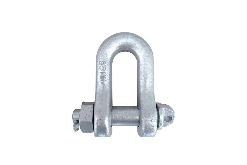 DIN82101 Shackle