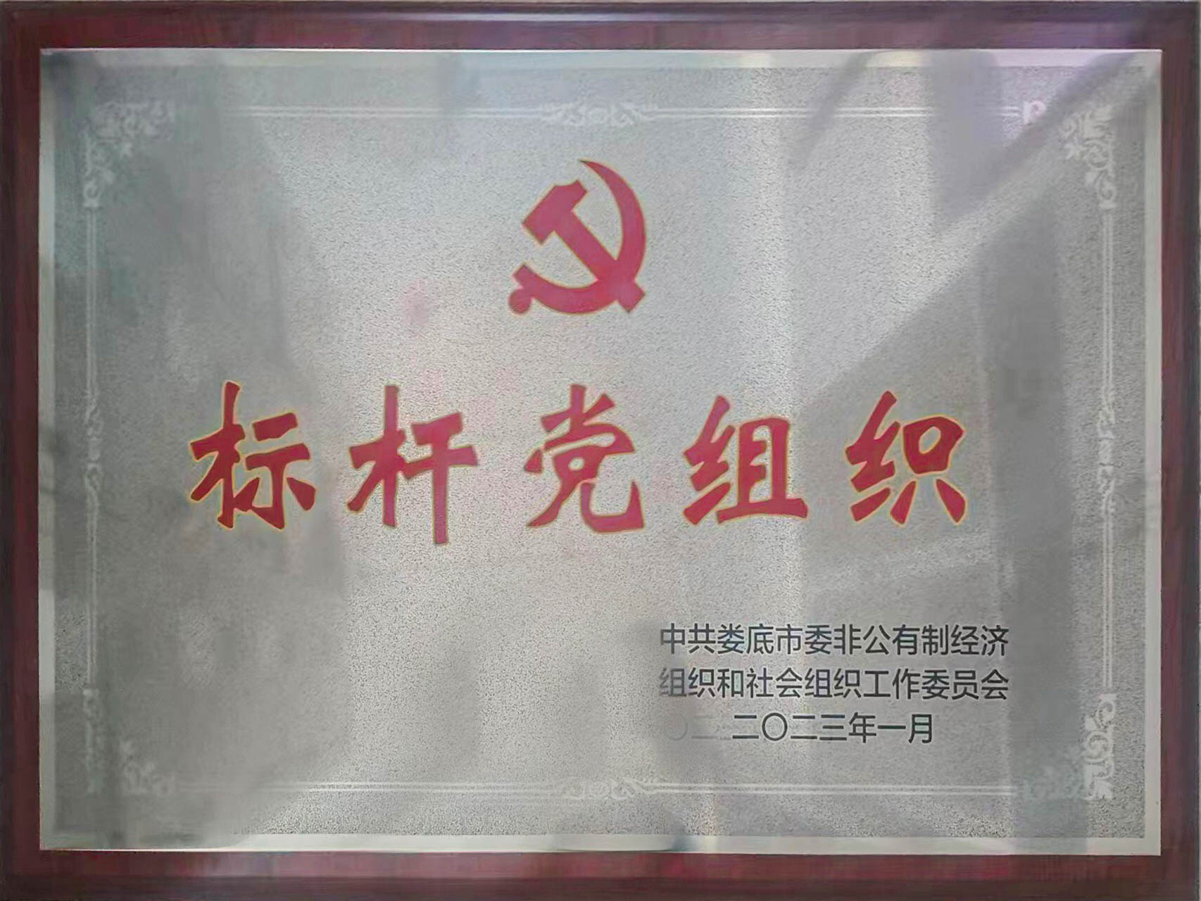 標(biāo)桿黨組織-榮譽(yù)證書