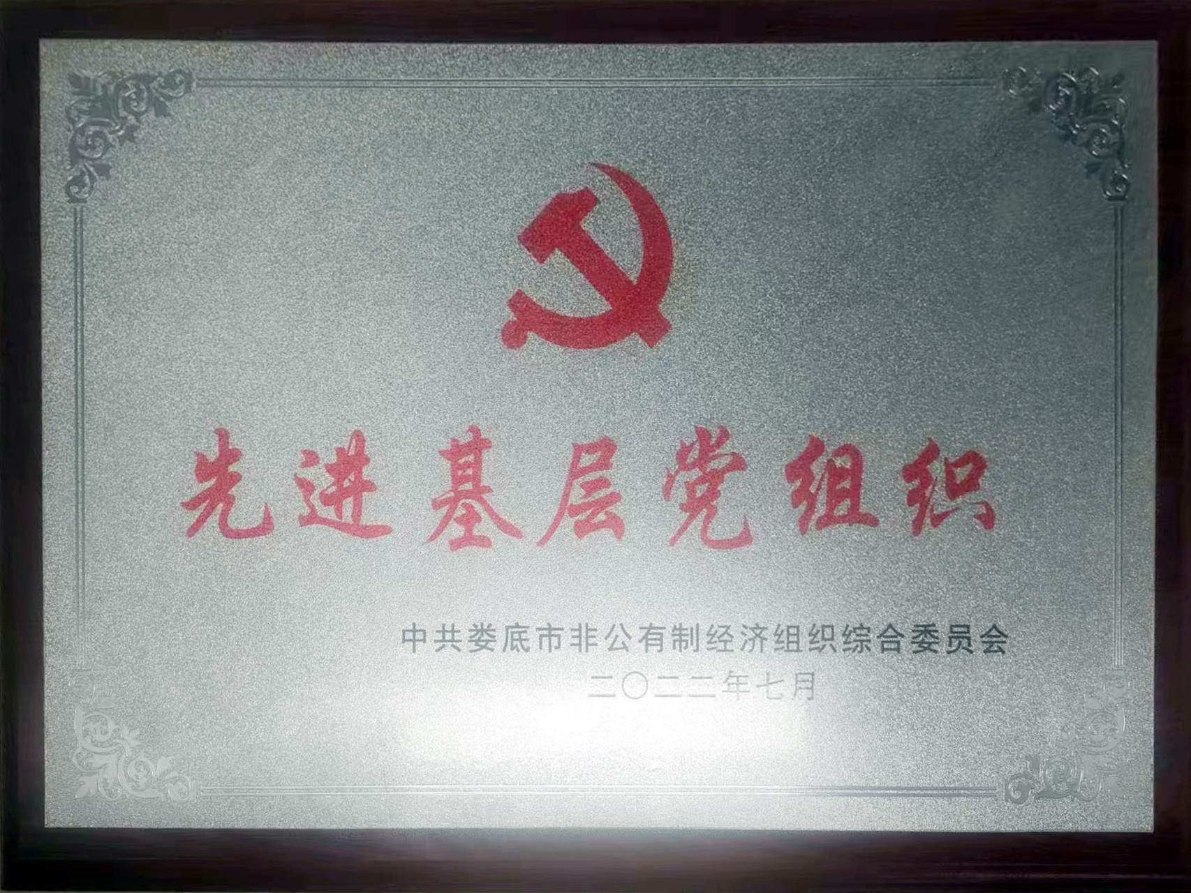 先進(jìn)基層黨組織-榮譽(yù)證書