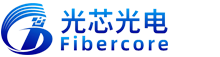 武汉光芯光电技术有限公司