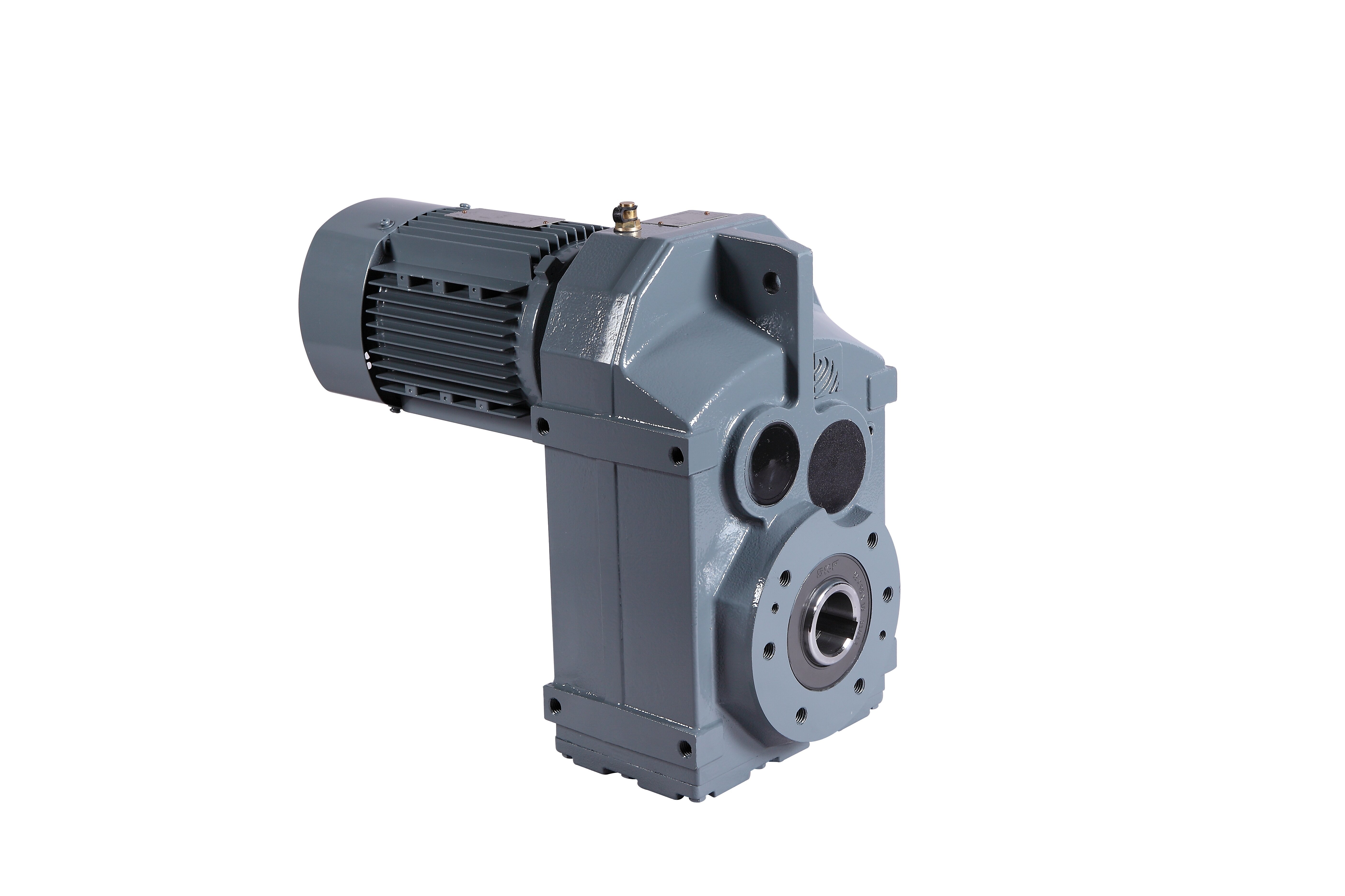 Parallel Shaft Reducer with Integral Motor
