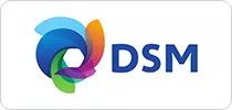 DSM DSM