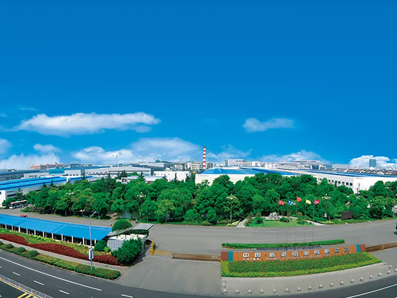 Dongliang Aluminium