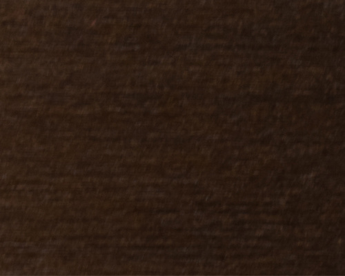 WS19