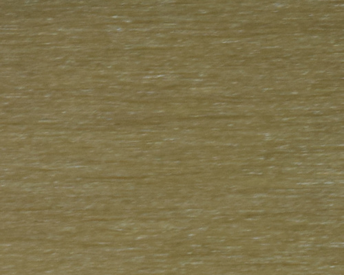 WS24