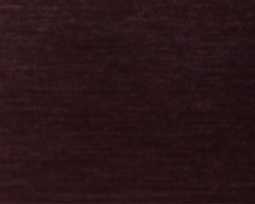 WS20