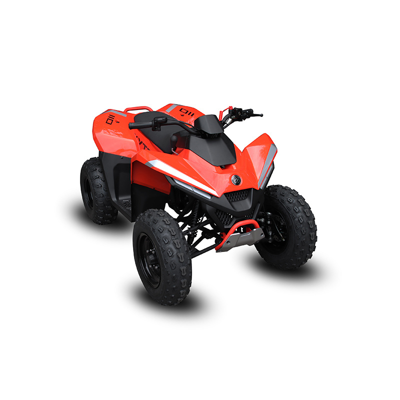 CF125CC-3.jpg