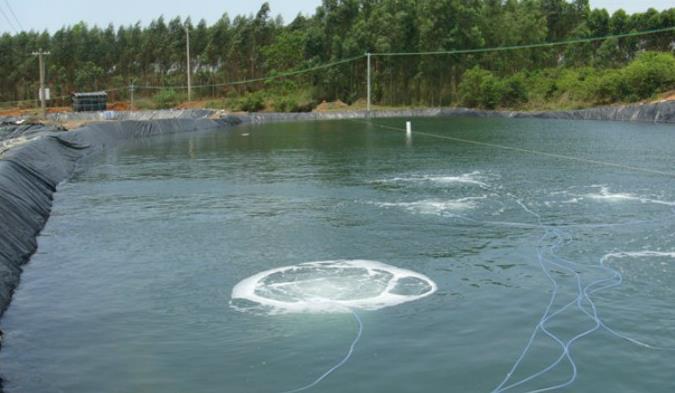 魚塘增氧機(jī)使用原則介紹