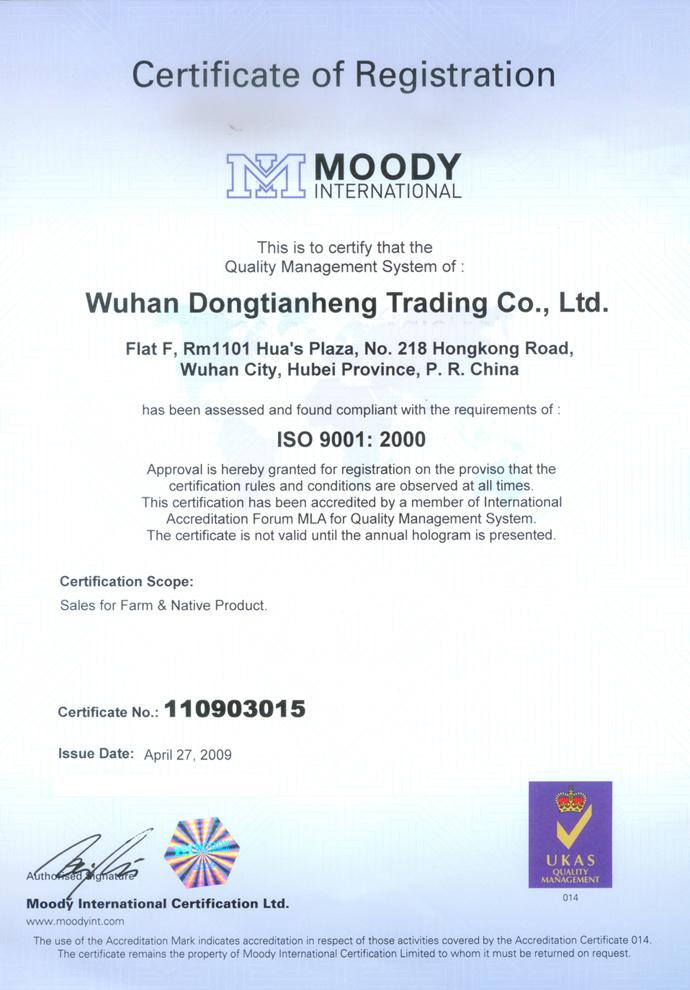 ISO 9001:2000