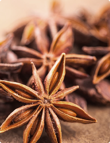 Spices& Herbs