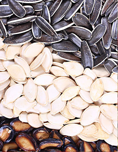 Seeds & Kernel