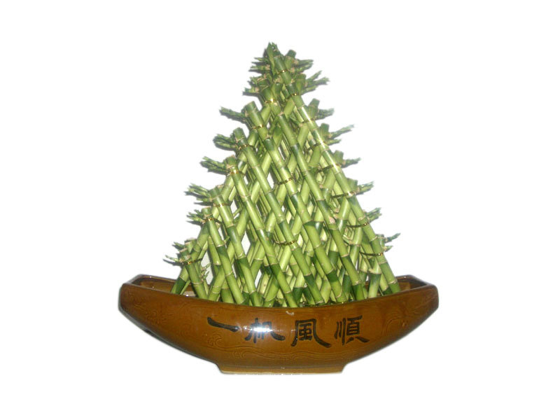 Pyramid（Eight layers）