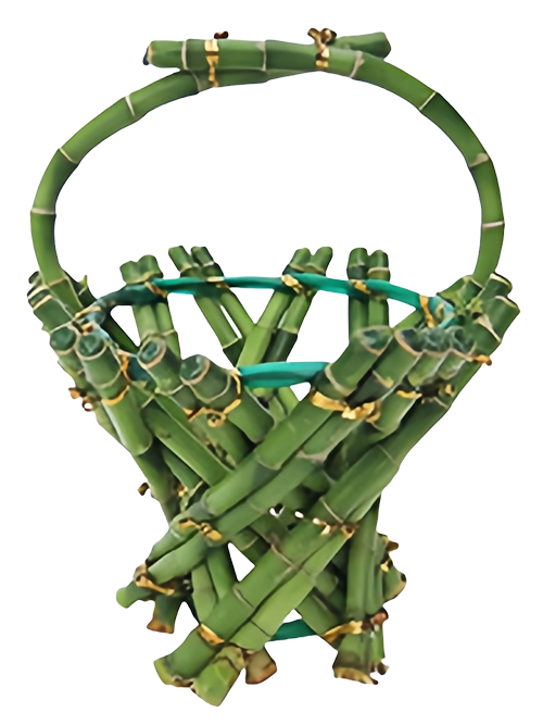 Braided lucky bamboo