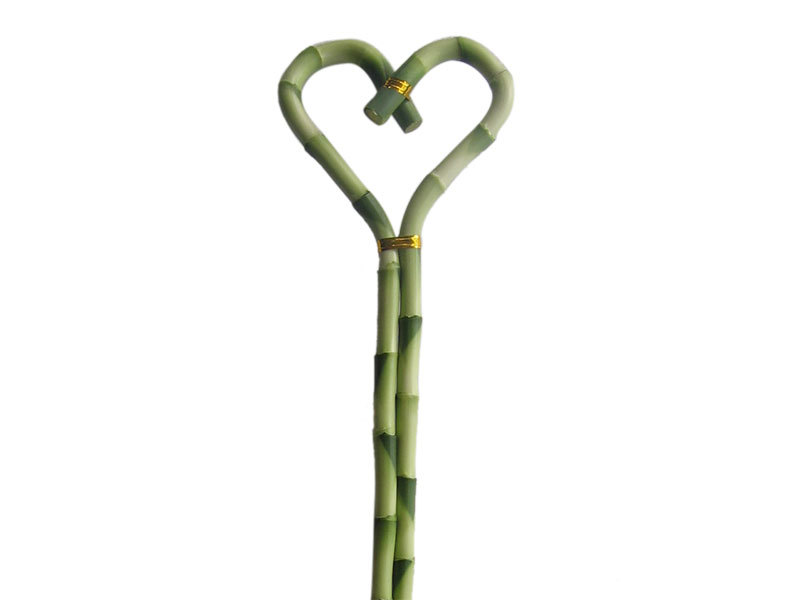 Heart shape bamboo