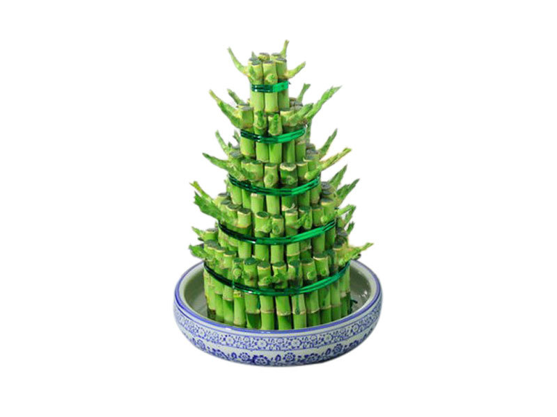 Tower bamboo（Five layers）