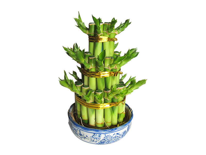 Tower bamboo （Three layers）