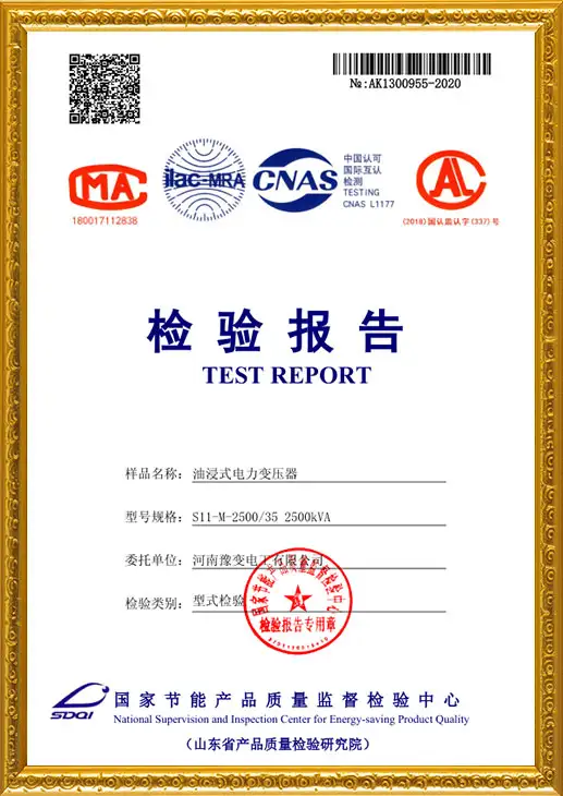 S11-M-2500 type test