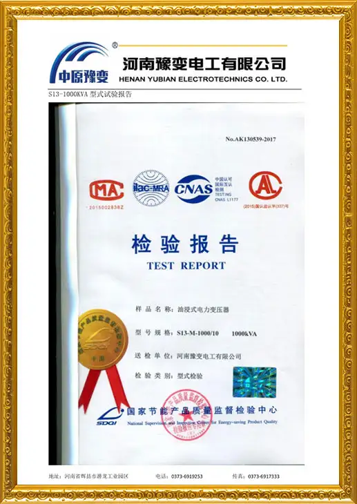 S13-M-1000 type test