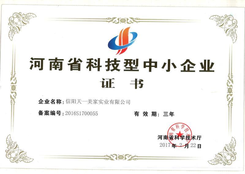 科技型中小企業(yè)