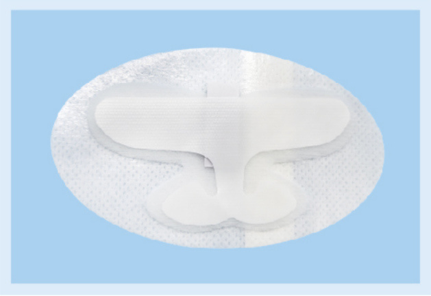 Double-lumen central venous catheter fixation-B