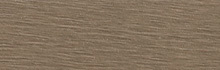 COLOR：Coffee