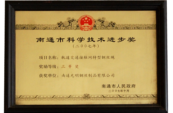 Nantong Science and Technology Progress Award